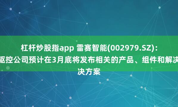 杠杆炒股指app 雷赛智能(002979.SZ)：灵巧驱控公司预计在3月底将发布相关的产品、组件和解决方案