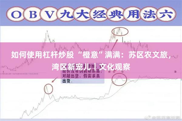 如何使用杠杆炒股 “橙意”满满：苏区农文旅，湾区新宠儿｜文化观察