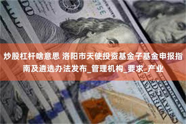 炒股杠杆啥意思 洛阳市天使投资基金子基金申报指南及遴选办法发布_管理机构_要求_产业