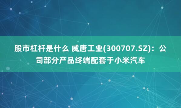 股市杠杆是什么 威唐工业(300707.SZ)：公司部分产品终端配套于小米汽车