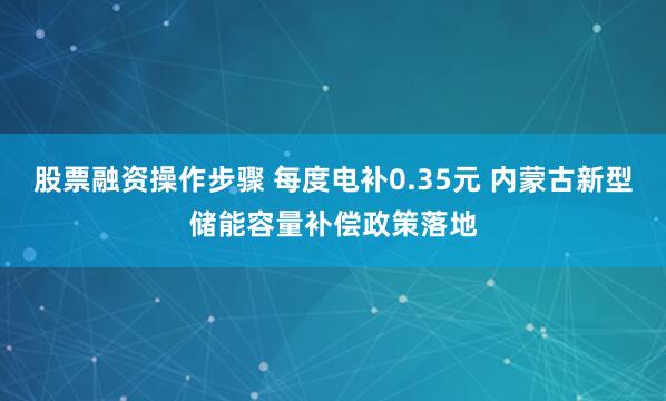 股票融资操作步骤 每度电补0.35元 内蒙古新型储能容量补偿政策落地