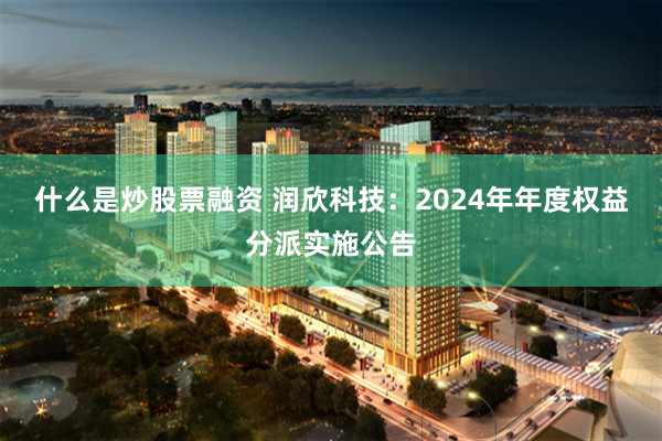 什么是炒股票融资 润欣科技：2024年年度权益分派实施公告