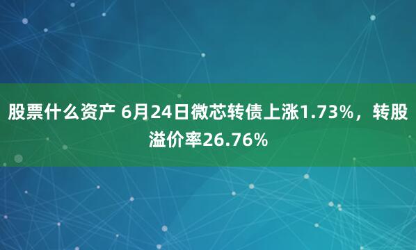股票什么资产 6月24日微芯转债上涨1.73%，转股溢价率26.76%