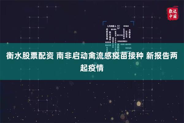 衡水股票配资 南非启动禽流感疫苗接种 新报告两起疫情
