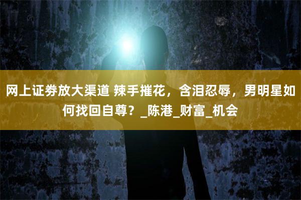 网上证劵放大渠道 辣手摧花，含泪忍辱，男明星如何找回自尊？_陈港_财富_机会