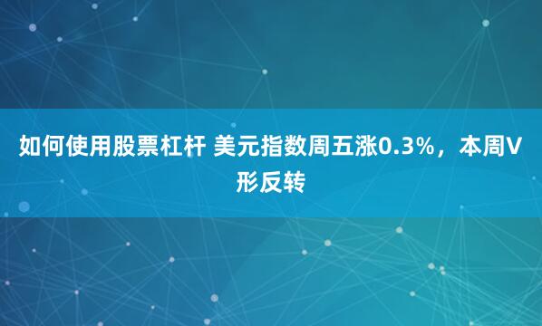 如何使用股票杠杆 美元指数周五涨0.3%，本周V形反转